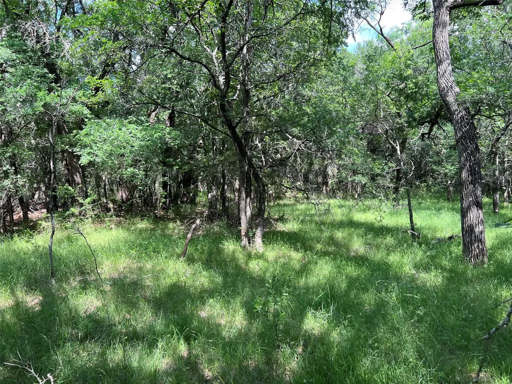 Tbd County Road 137 Road Cisco TX 76437