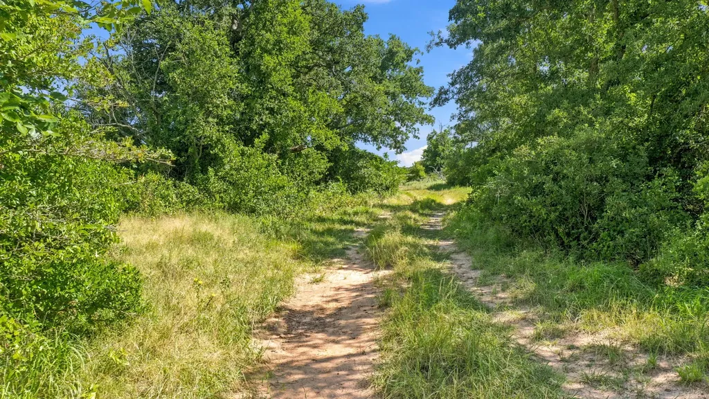 Tbd Co Road 290 Rising Star TX 76471