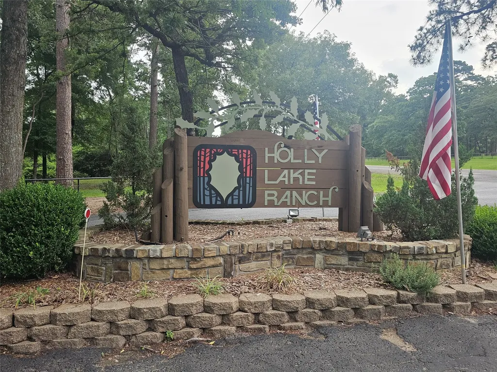 197 Holly Hill Circle Holly Lake Ranch TX 75765