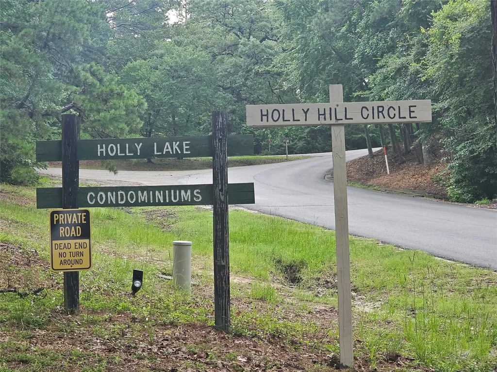 197 Holly Hill Circle Holly Lake Ranch TX 75765