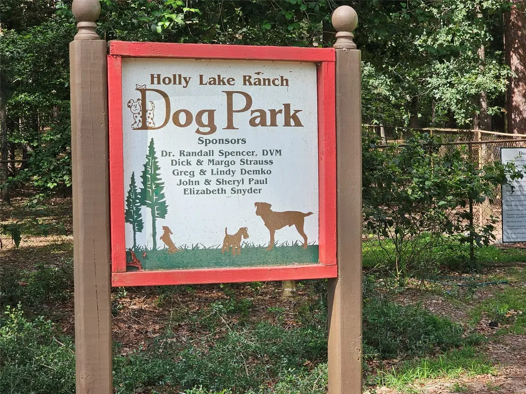 197 Holly Hill Circle Holly Lake Ranch TX 75765