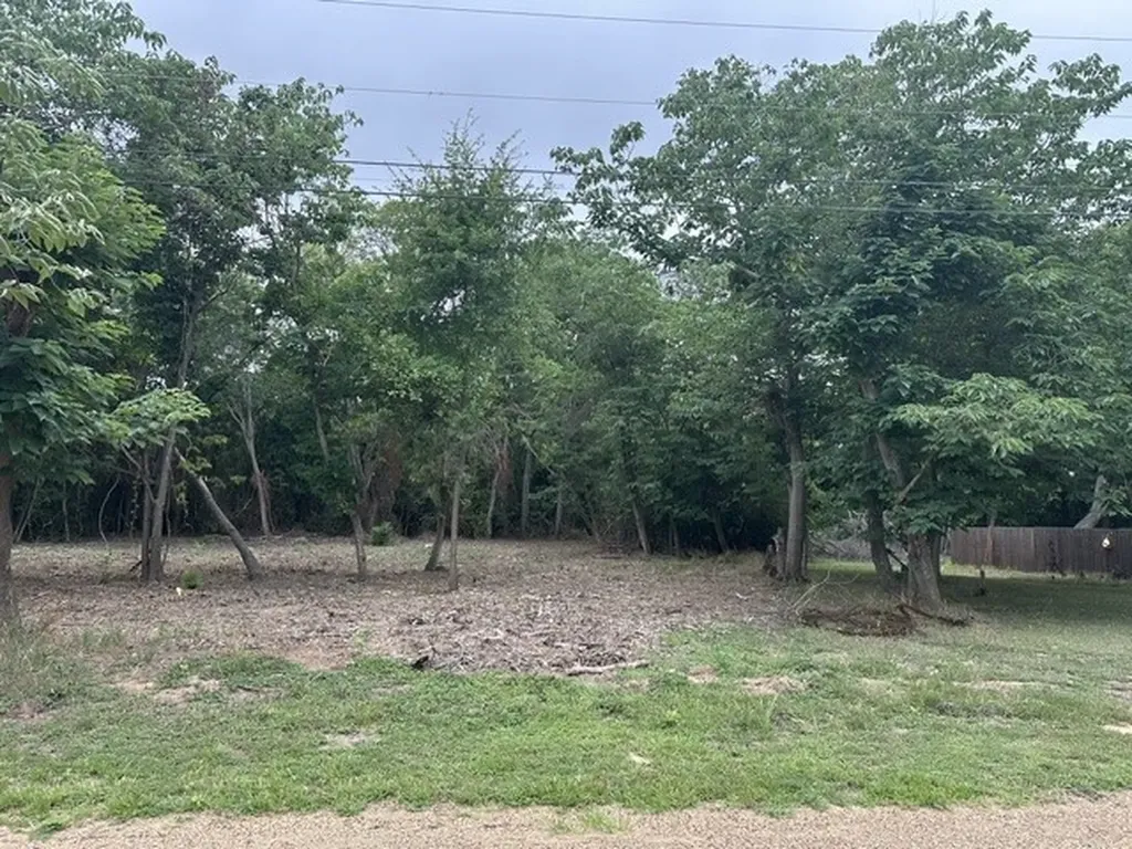 0 Oak Grove Drive Trinidad TX 75163