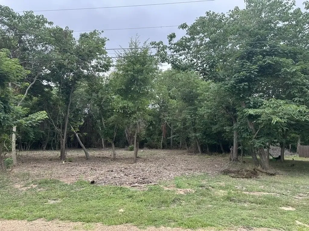0 Oak Grove Drive Trinidad TX 75163