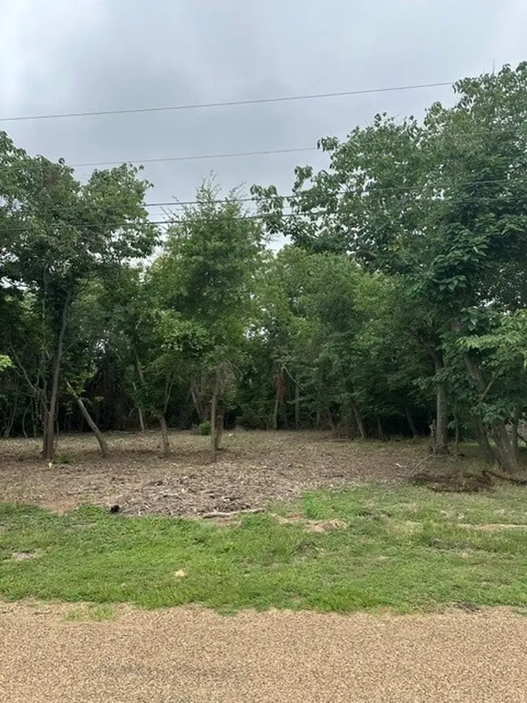 0 Oak Grove Drive Trinidad TX 75163