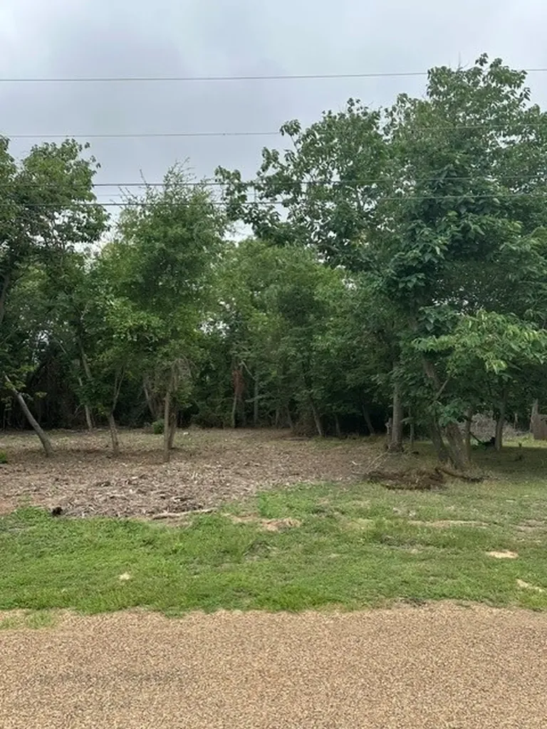 0 Oak Grove Drive Trinidad TX 75163