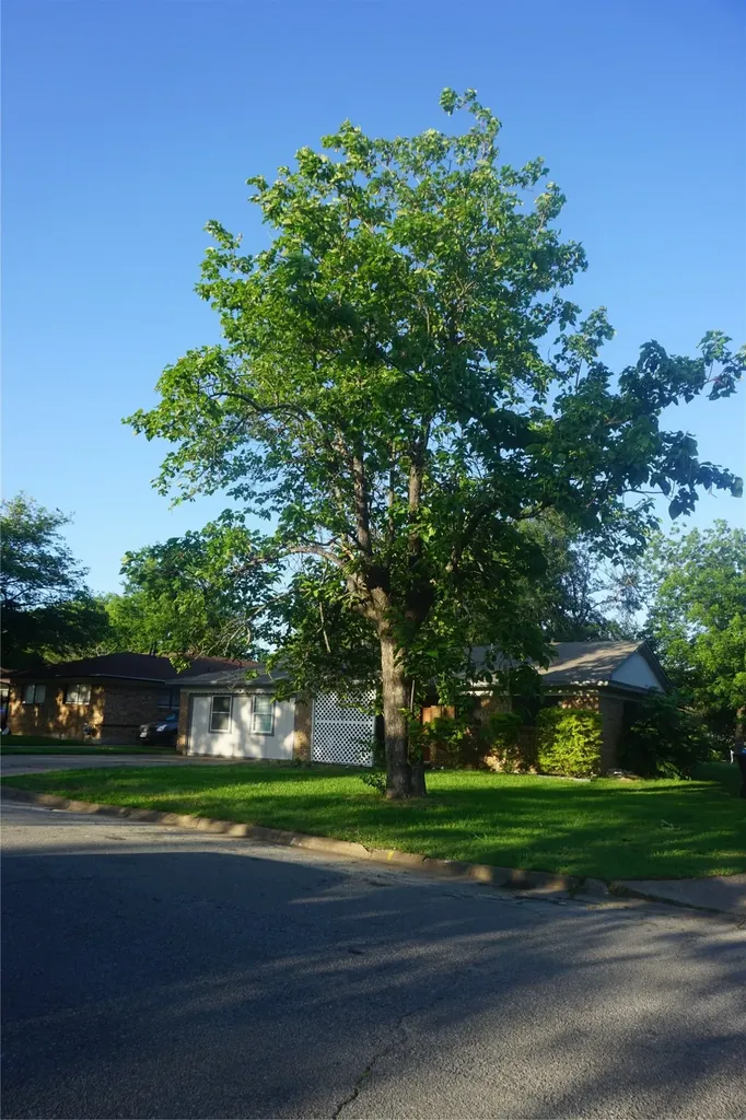 112 S Lynn Avenue Denison TX 75020