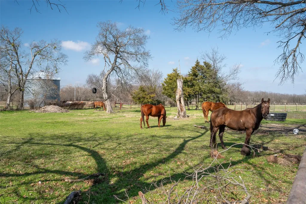 3998 County Road 2706 Caddo Mills TX 75135
