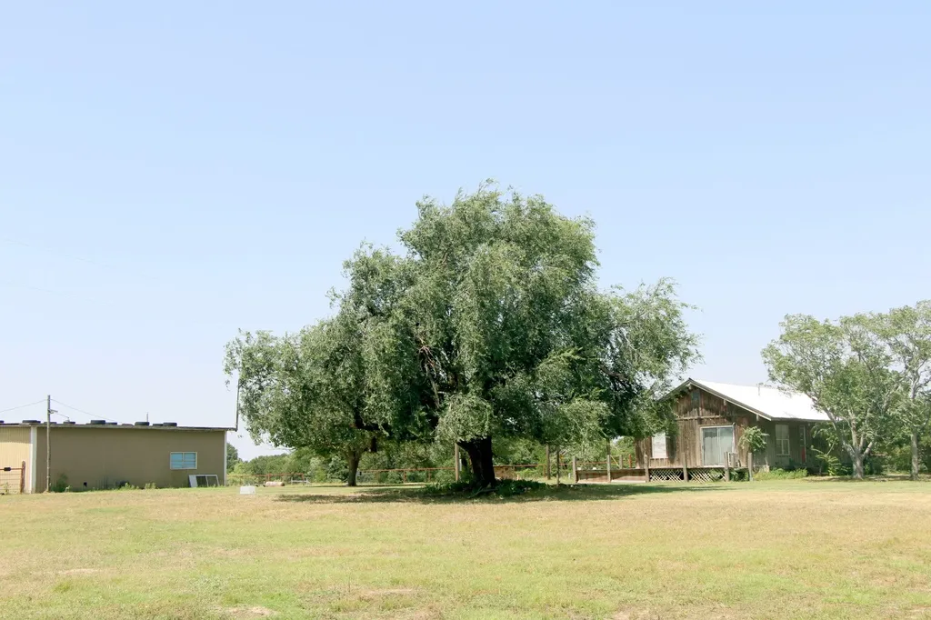 117 County Road 485 Ranger TX 76470