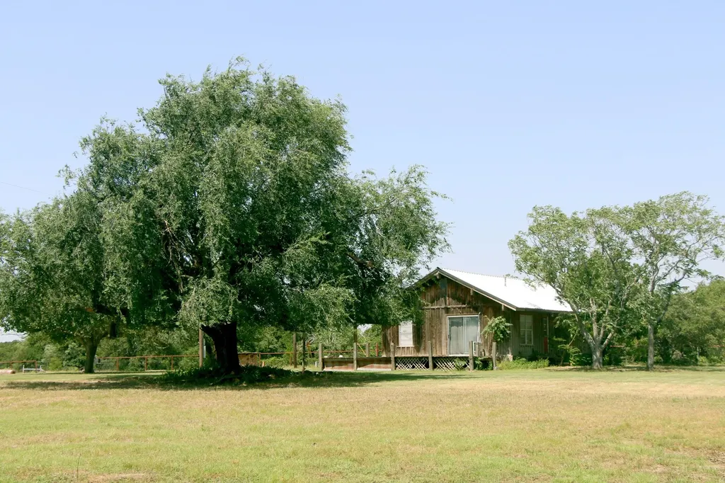 117 County Road 485 Ranger TX 76470
