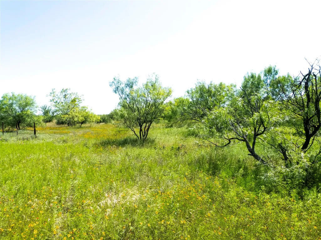 7263 County Road 106 Brownwood TX 76801
