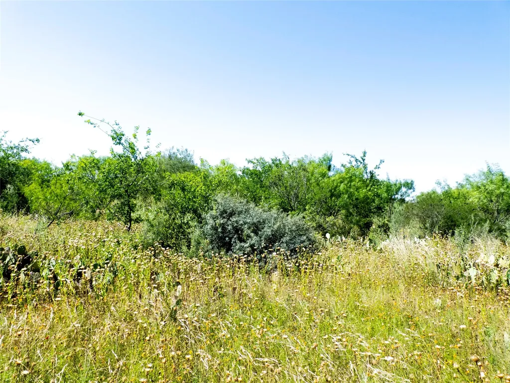 7263 County Road 106 Brownwood TX 76801
