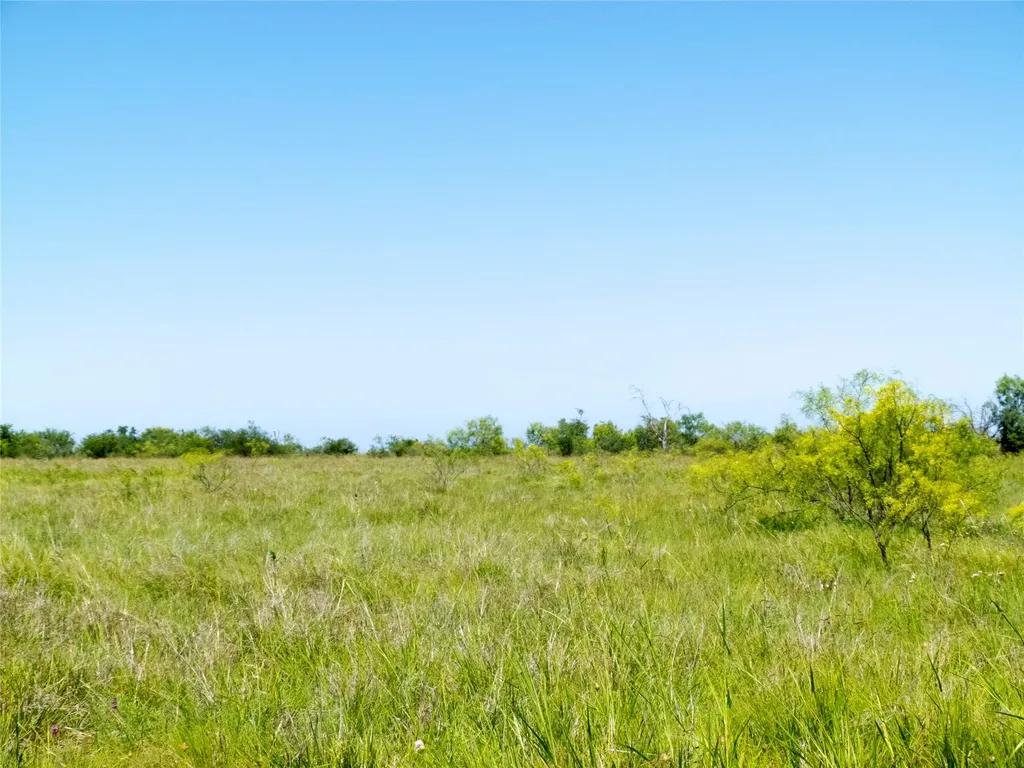 7263 County Road 106 Brownwood TX 76801