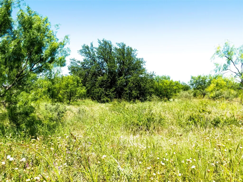 7263 County Road 106 Brownwood TX 76801