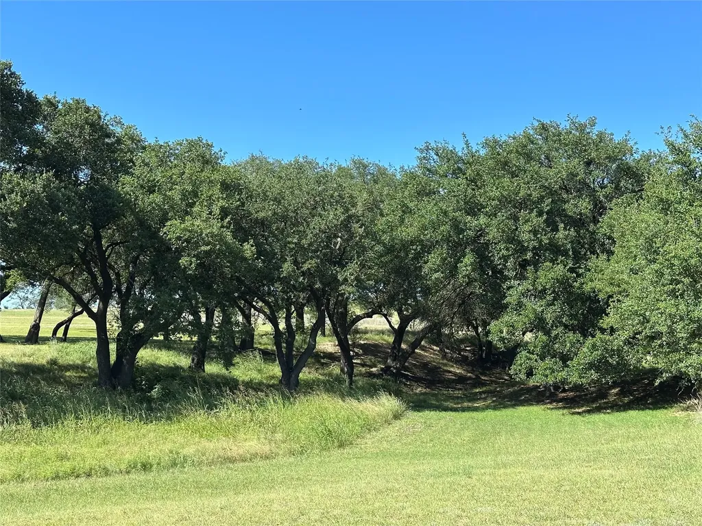 581 Comanche Lake Road Comanche TX 76442