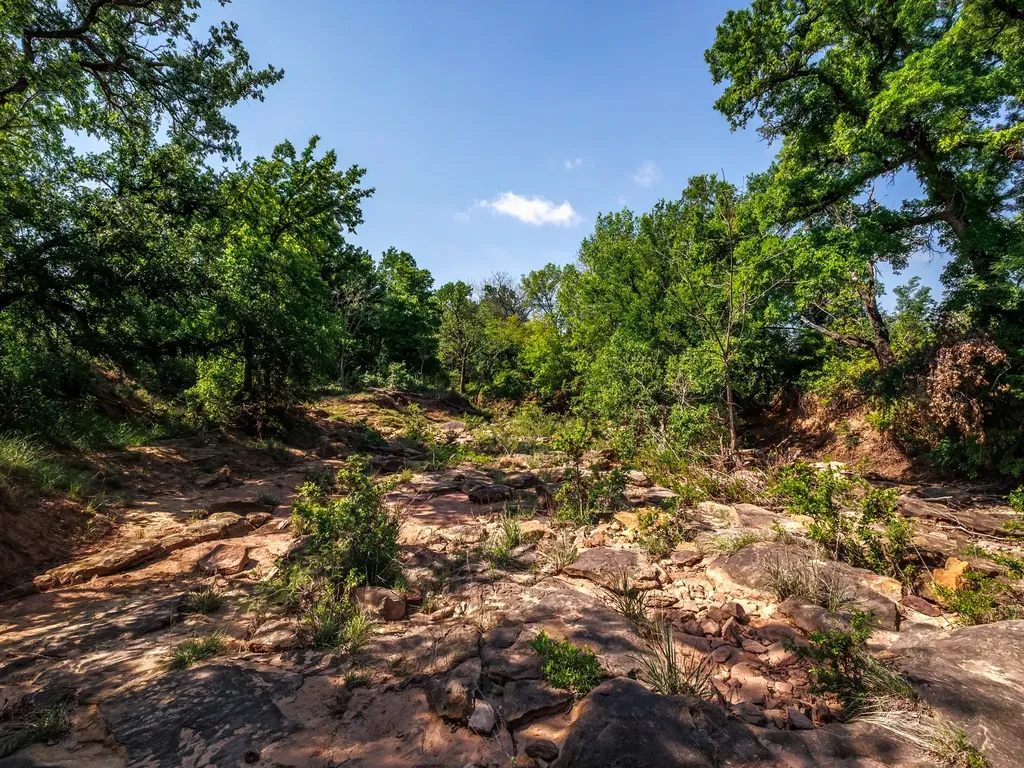 3051 County Road 411 W Brownwood TX 76801