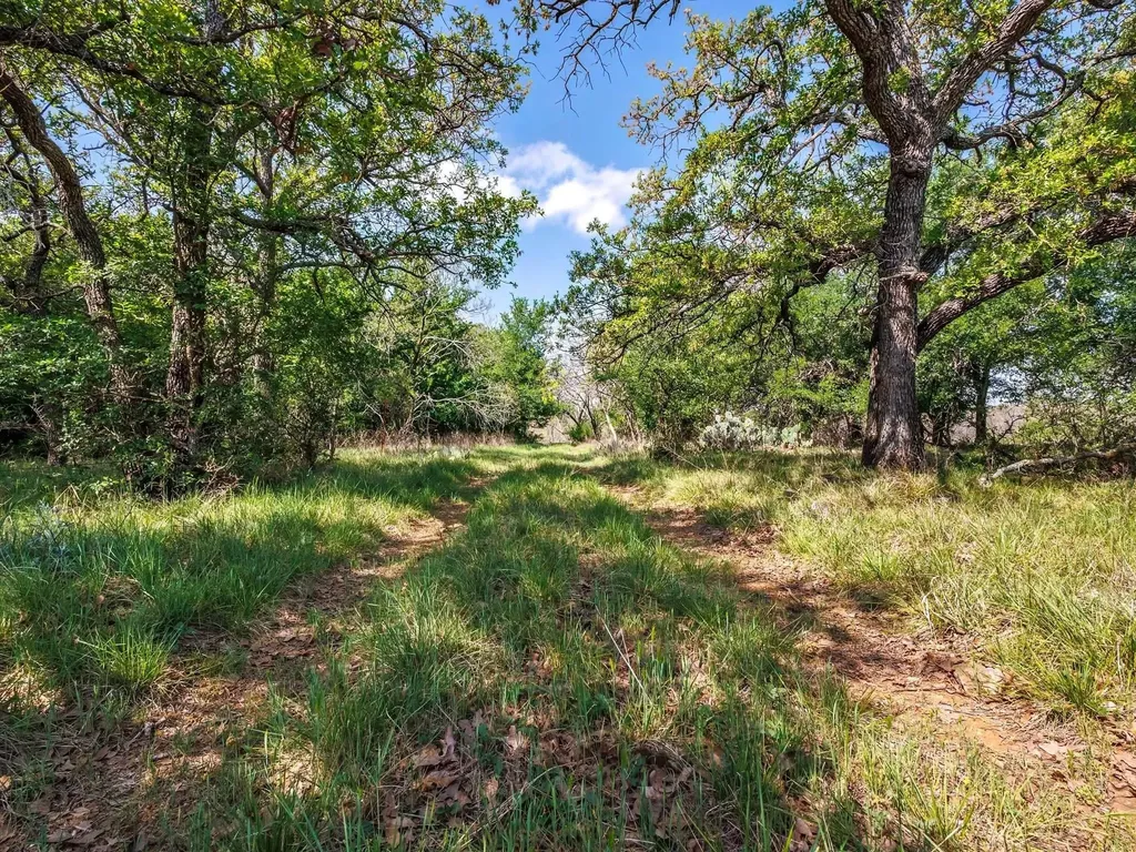 3051 County Road 411 W Brownwood TX 76801