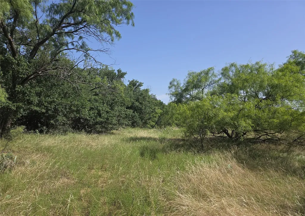 3051 County Road 411 W Brownwood TX 76801