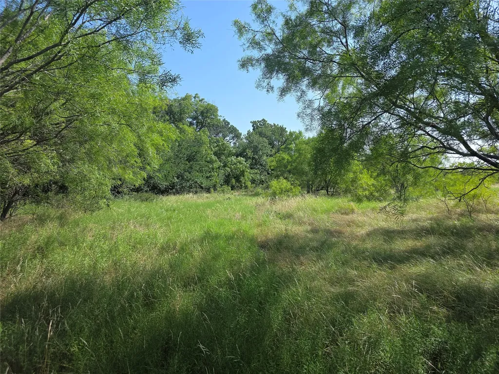 3051 County Road 411 W Brownwood TX 76801