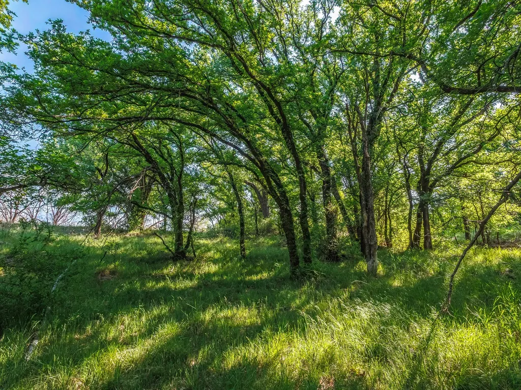 3051 County Road 411 W Brownwood TX 76801