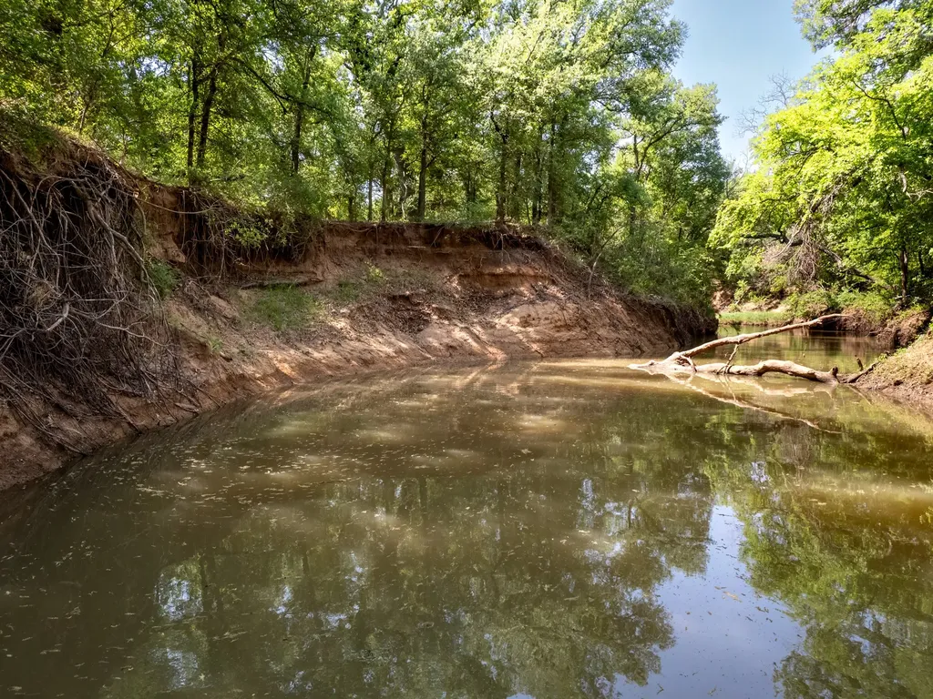3051 County Road 411 W Brownwood TX 76801