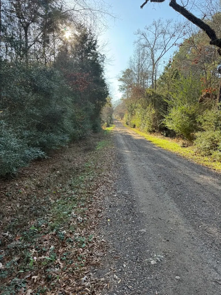 Tbd-d County Road 216 Beckville TX 75631