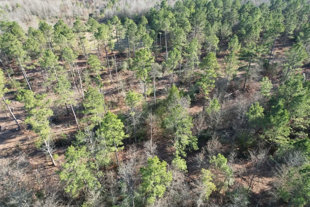 Tbd-d County Road 216 Beckville TX 75631