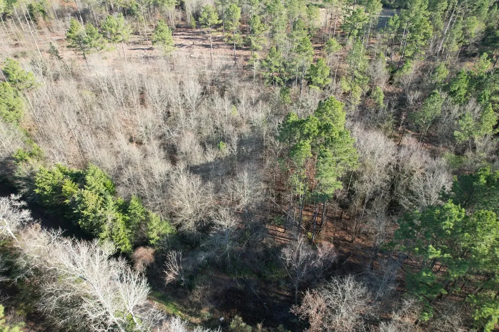 Tbd-d County Road 216 Beckville TX 75631