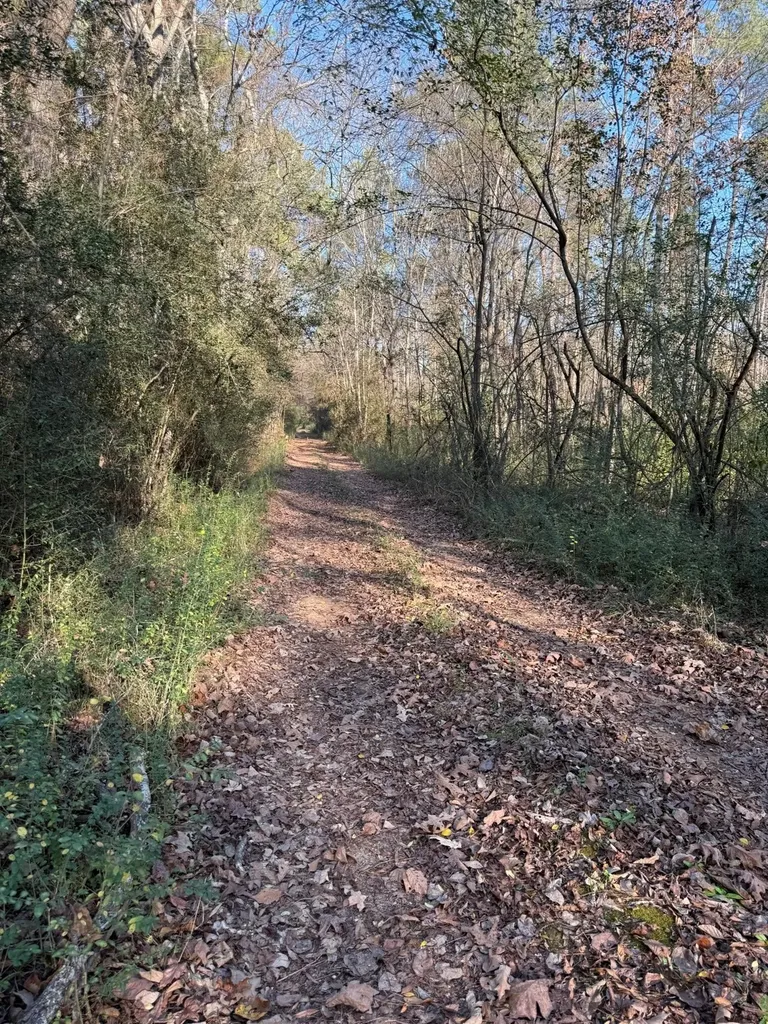 Tbd-d County Road 216 Beckville TX 75631