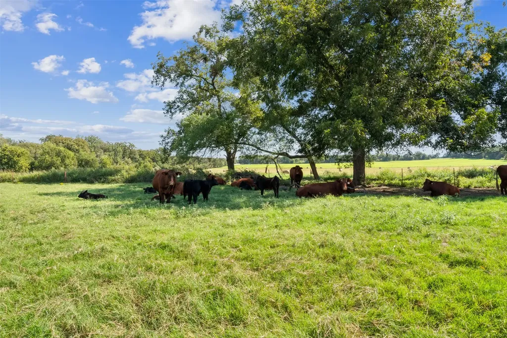 324 E Highway 6 Iredell TX 76649