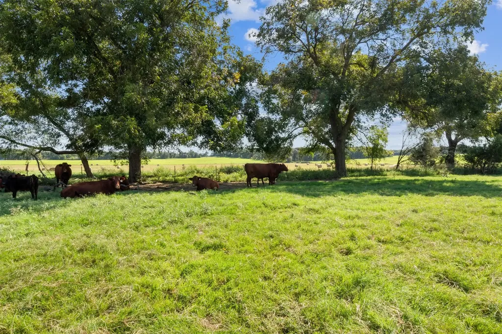 324 E Highway 6 Iredell TX 76649