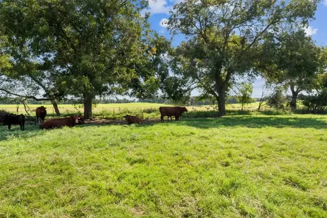324 E Highway 6 Iredell TX 76649