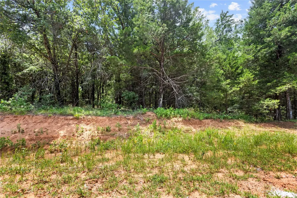 Lots 18,19,20 Reflection Bay Boulevard Gordonville TX 76245