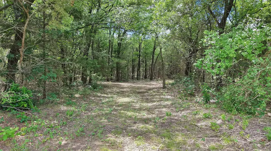 411 N Oak Branch Road Waxahachie TX 75167