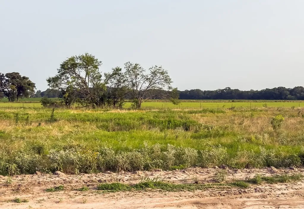 Lot 8 Elm Branch Elm Mott TX 76640