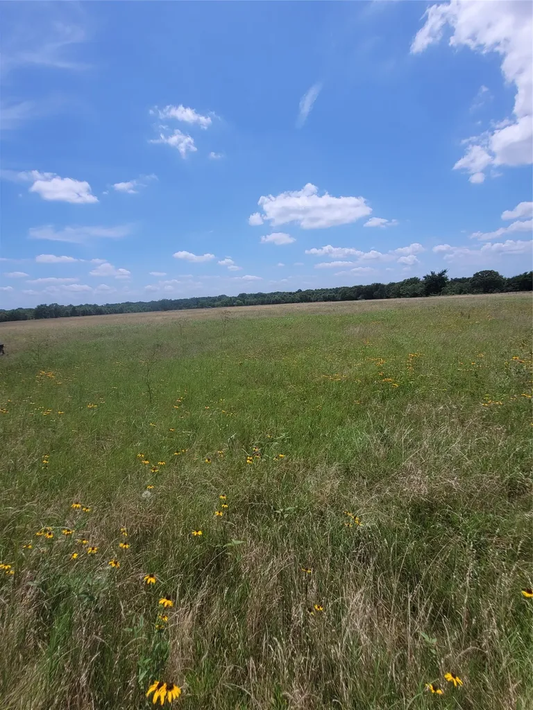 2441 County Road 3512 Dike TX 75437