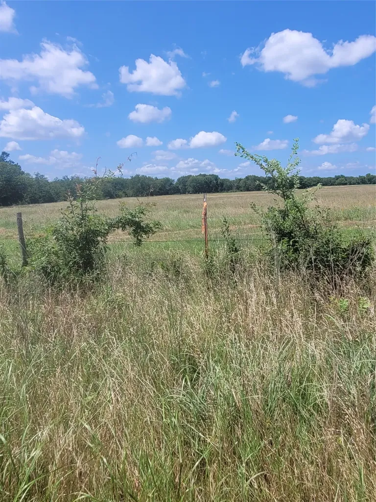 2441 County Road 3512 Dike TX 75437