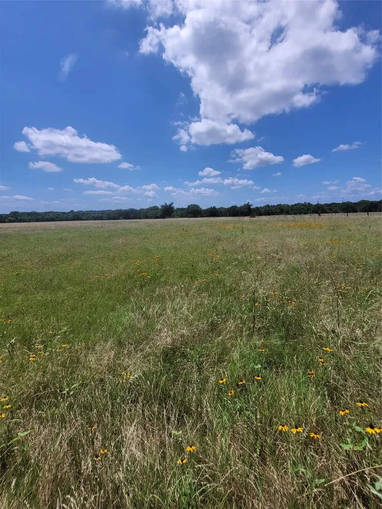 2441 County Road 3512 Dike TX 75437