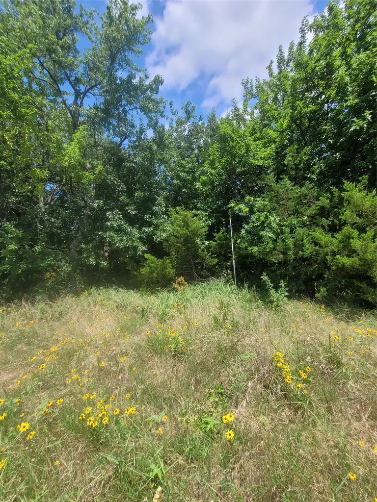 2441 County Road 3512 Dike TX 75437
