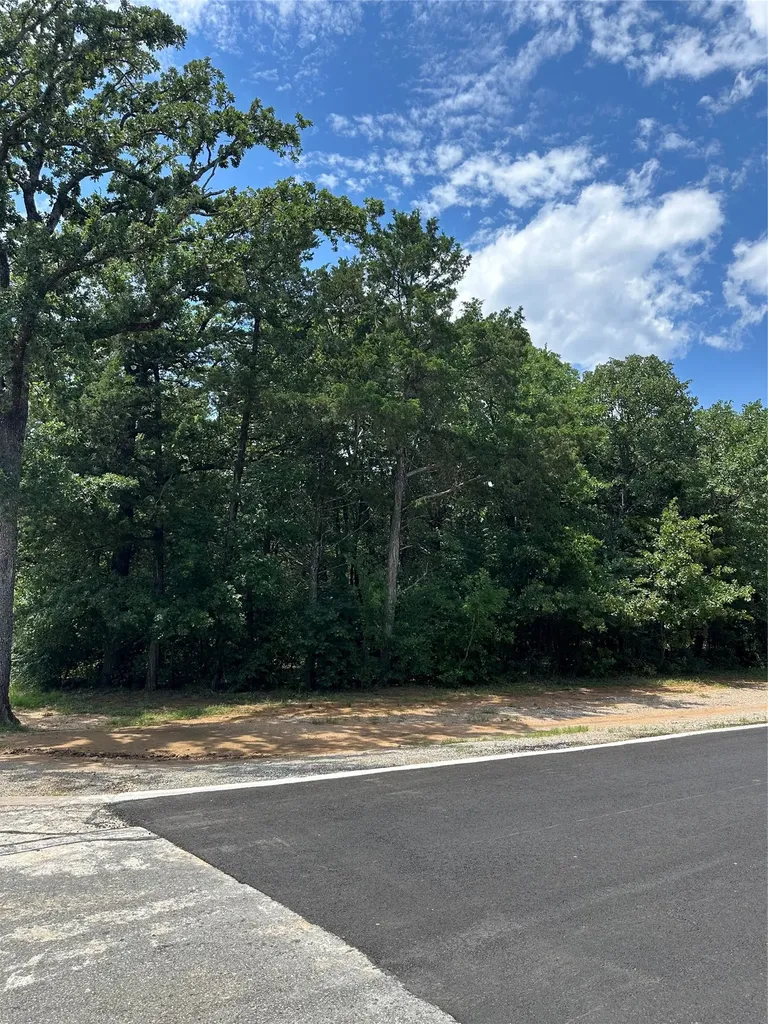 13 Castle Gordonville TX 76273