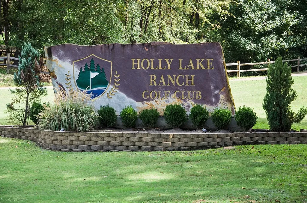 108 Old Barn Circle Holly Lake Ranch TX 75765