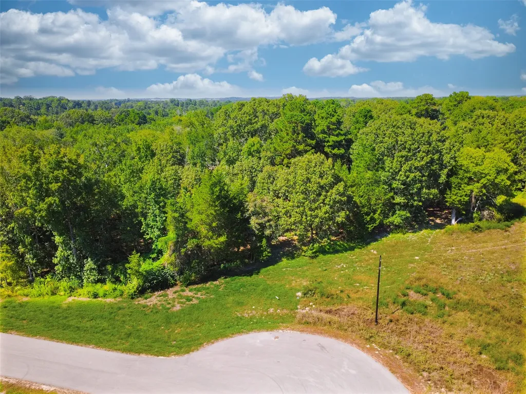 Lot 32 Creek Bottom Court Winona TX 75792