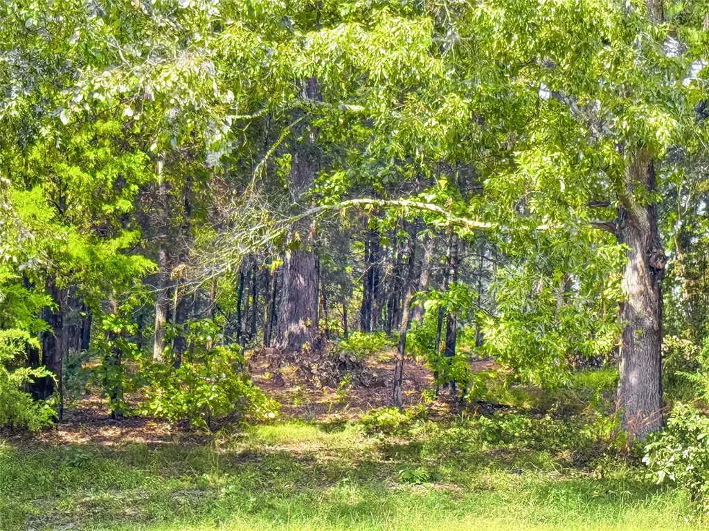 Lot 32 Creek Bottom Court Winona TX 75792