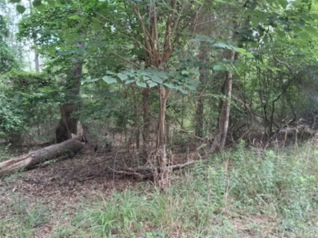 Tbd Dogwood Drive Murchison TX 75778