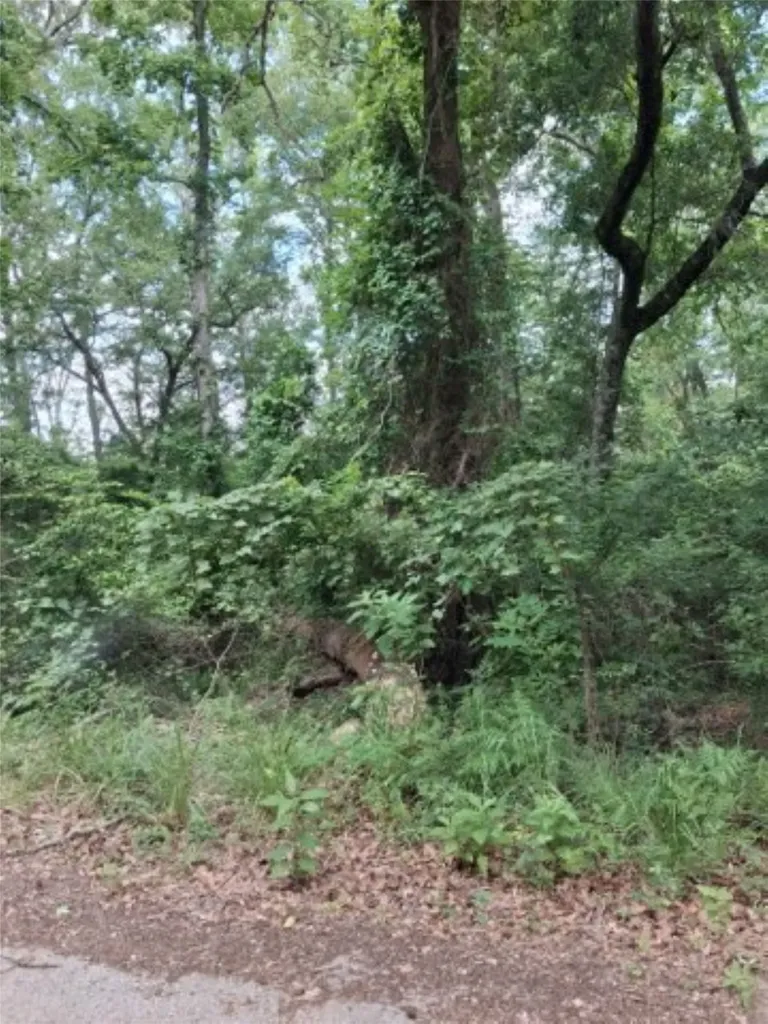 Tbd Dogwood Drive Murchison TX 75778