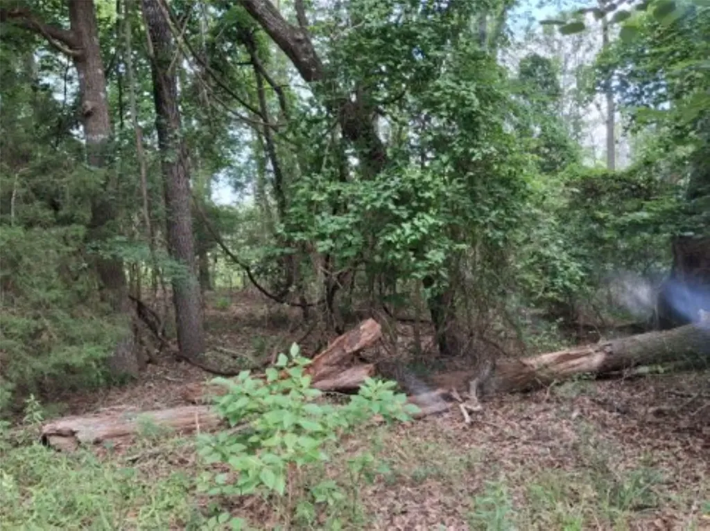 Tbd Dogwood Drive Murchison TX 75778