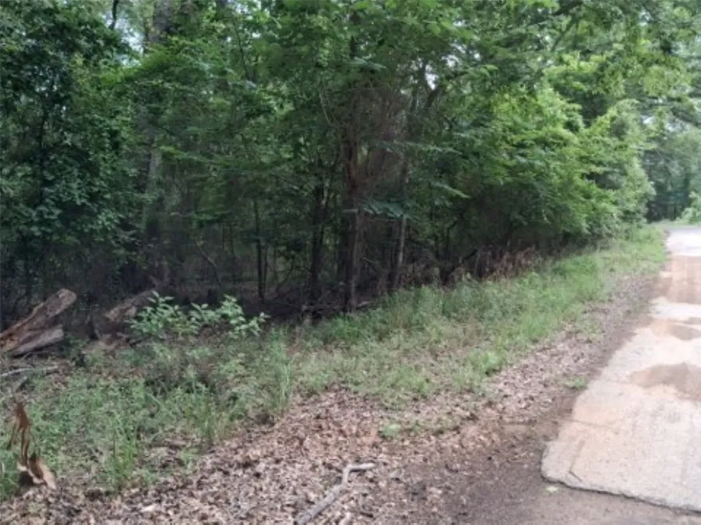 Tbd Dogwood Drive Murchison TX 75778