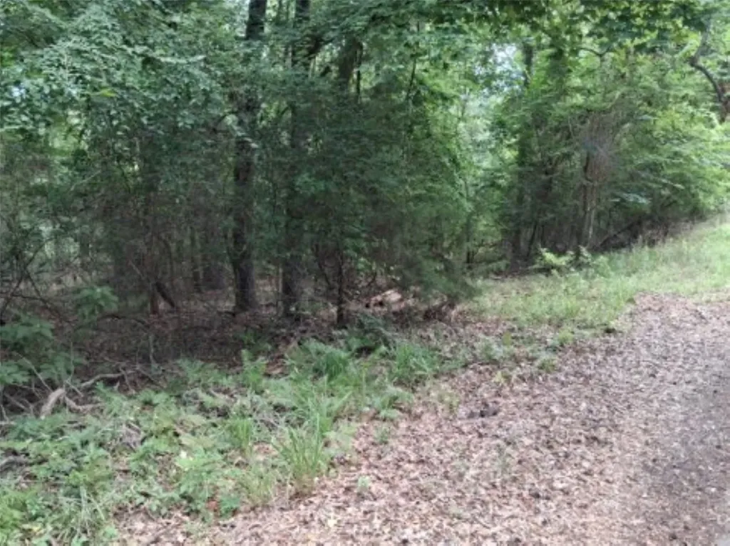 Tbd Dogwood Drive Murchison TX 75778
