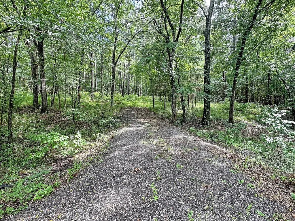 7485 County Road 3907 Athens TX 75752
