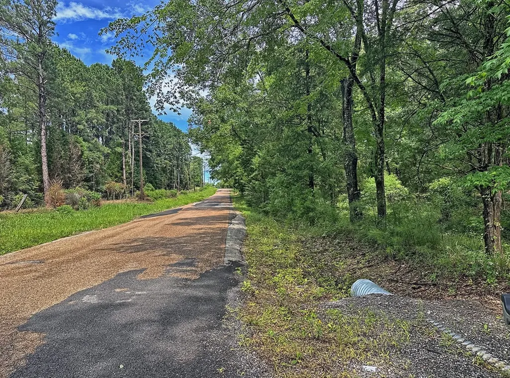 7485 County Road 3907 Athens TX 75752