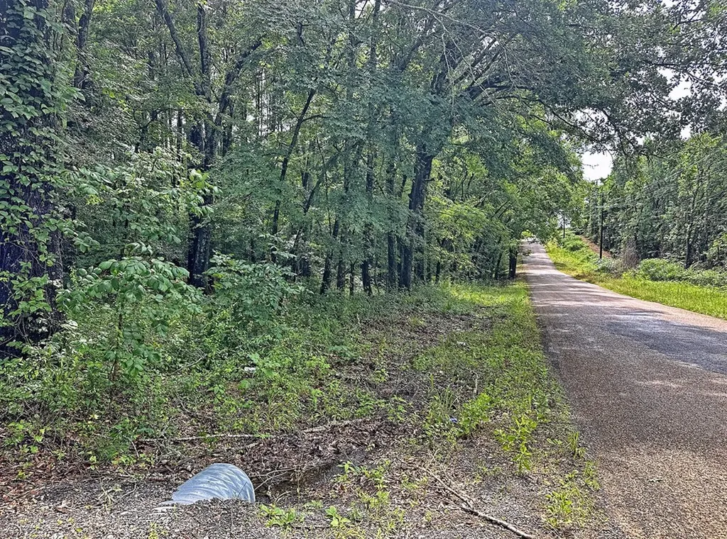 7485 County Road 3907 Athens TX 75752
